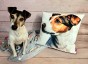 Poszewka dekoracyjna na jaśka – Jack Russell Terrier w klasycznej odsłonie